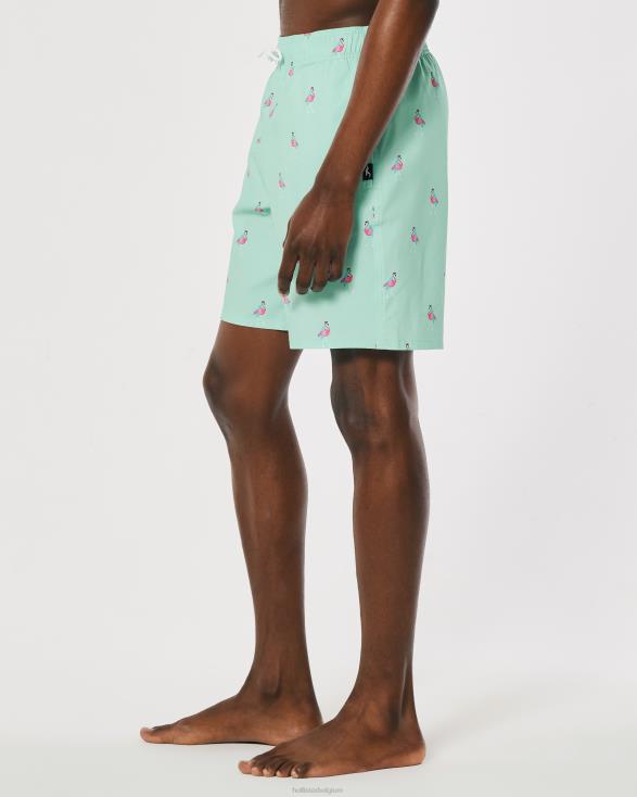 guard zwembroek 7'' mint afdrukken Heren Hollister bodems 06JX1395