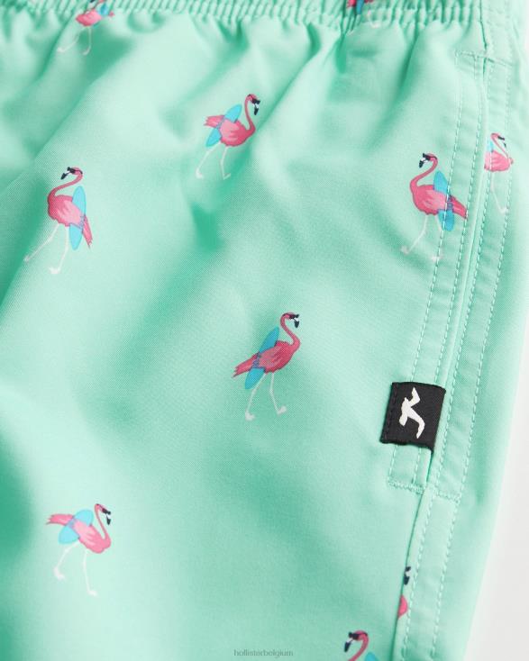 guard zwembroek 7'' mint afdrukken Heren Hollister bodems 06JX1395