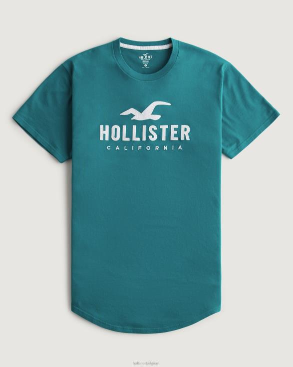 grafisch T-shirt met gebogen zoomlogo donkere wintertaling Heren Hollister toppen 06JX870