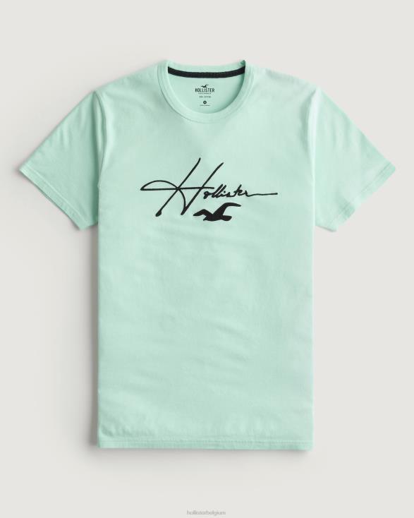 handtekening logo grafisch T-shirt munt Heren Hollister toppen 06JX927