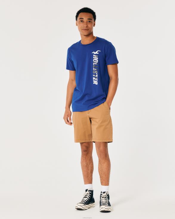 katoenen T-shirt met logoprint blauw Heren Hollister toppen 06JX967