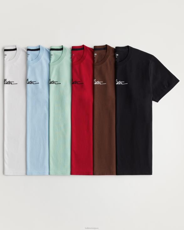 logo grafisch T-shirt 6-pack logo multi-6 pack Heren Hollister toppen 06JX908