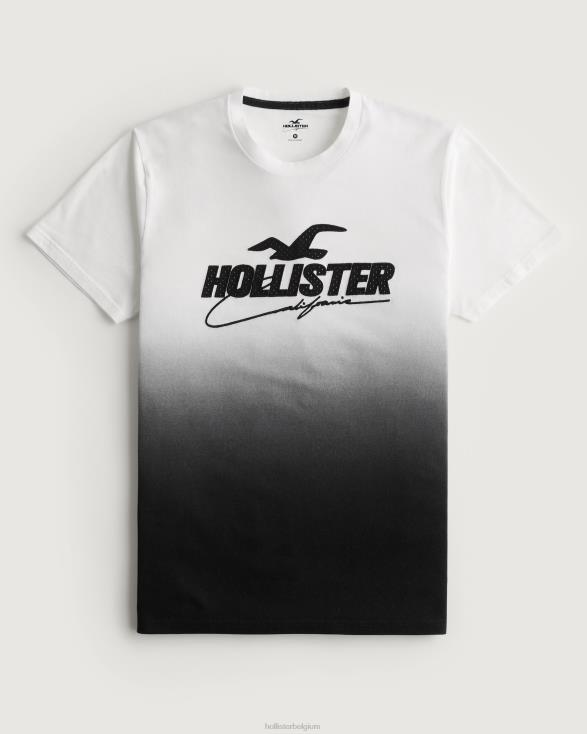 mesh logo applique ombre grafisch T-shirt wit tot zwart ombre Heren Hollister toppen 06JX850