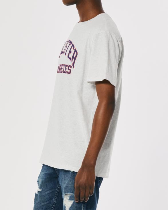 relaxed varsity-logo grafisch T-shirt licht grijs gemêleerd Heren Hollister toppen 06JX1078