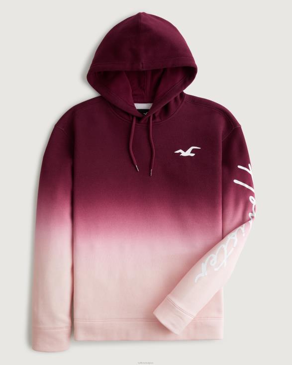 hoodie met ombre-logo bordeaux tot roze ombre Heren Hollister toppen 06JX1043