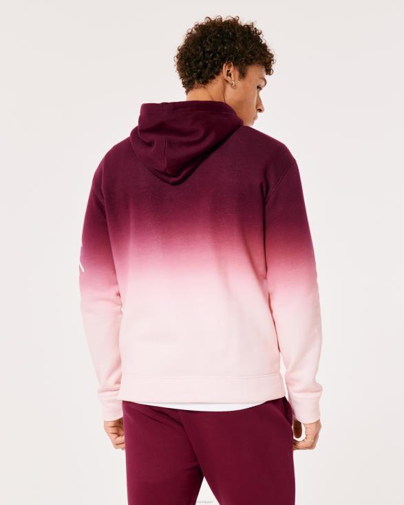 hoodie met ombre-logo bordeaux tot roze ombre Heren Hollister toppen 06JX1043