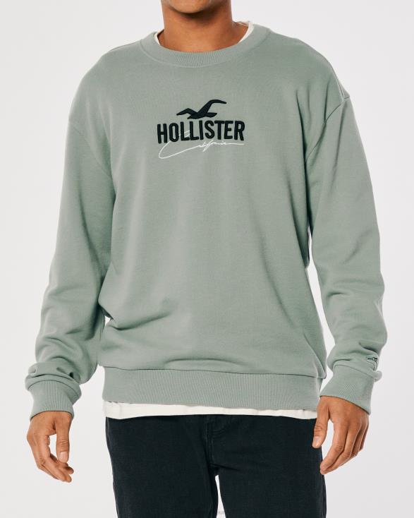 relaxed sweatshirt met logo en ronde hals verstandig Heren Hollister toppen 06JX845