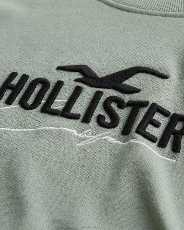 relaxed sweatshirt met logo en ronde hals verstandig Heren Hollister toppen 06JX845