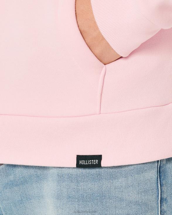 relaxte hoodie roze Heren Hollister toppen 06JX1020