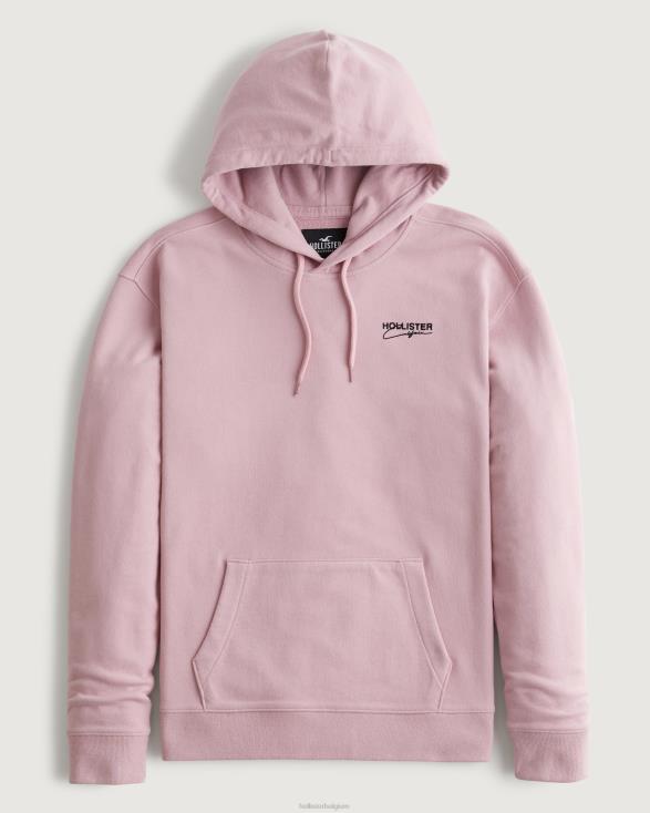 hoodie met kenmerkend logo donker roze Heren Hollister toppen 06JX832