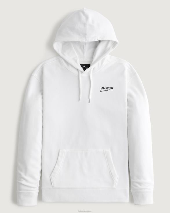 hoodie met kenmerkend logo wit Heren Hollister toppen 06JX871