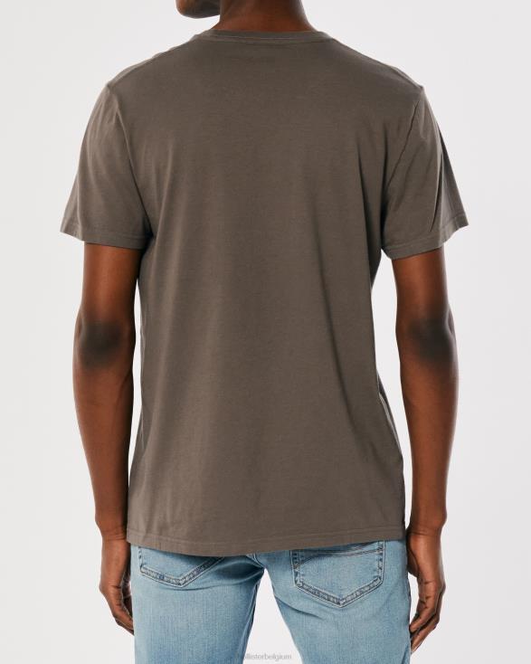 T-shirt met ronde hals en logo bruin Heren Hollister toppen 06JX810