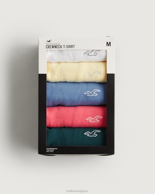 katoenen T-shirt met ronde hals en logo, set van 5 multi 5 icoon bemanning Heren Hollister toppen 06JX818