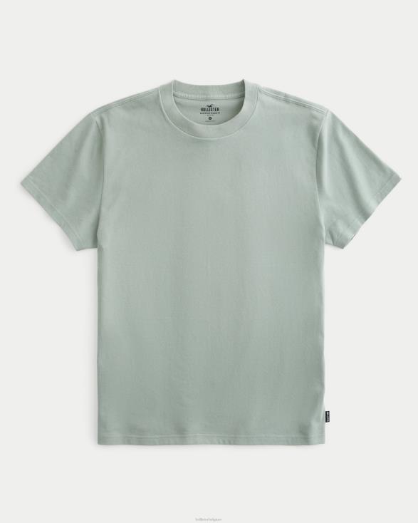 relaxed zwaargewicht T-shirt met ronde hals zwart Heren Hollister toppen 06JX960