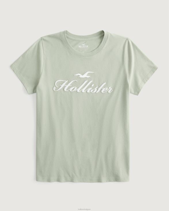 eenvoudig T-shirt met logo-afbeelding salie groen vrouwen Hollister toppen 06JX207